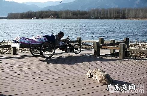 小狗究竟有多忠实?