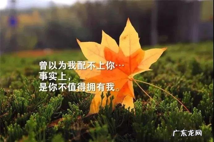 友情的说说发朋友圈的句子 【抖音文案】友情的朋友圈说说