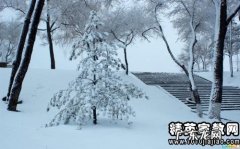 【抖音文案】关于冬天好的句子