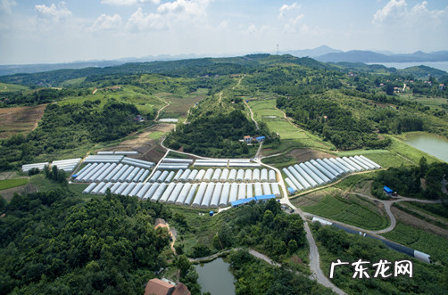 2021年国家重点扶持10大项目 国家扶持的项目都有哪些