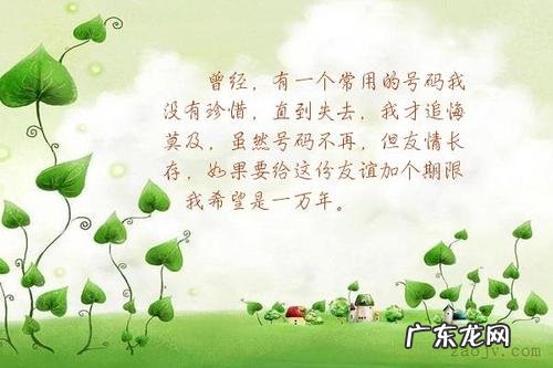 关于友情的优美句子摘抄 【抖音文案】友情的句子摘抄