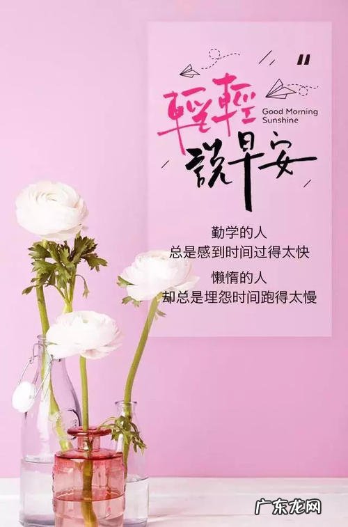 激励语录正能量简短句 【抖音文案】激励女人正能量的短句