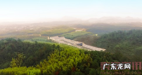 网易考拉黑五出大招,网易味央猪肉抢鲜拍卖