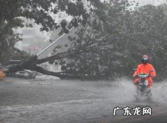 三亚台风最新消息2021年10月台风 三亚台风