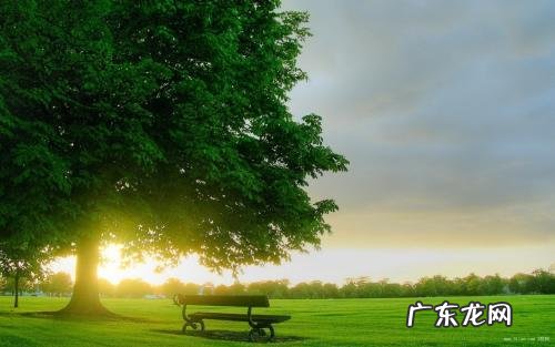 【抖音文案】形容清晨5点左右的好句子