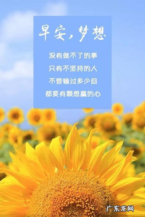 早安心语2021最新正能量句子 【抖音文案】工作早安心语正能量句子