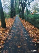 赞美初冬的句子短句唯美 【抖音文案】赞美深秋初冬的句子