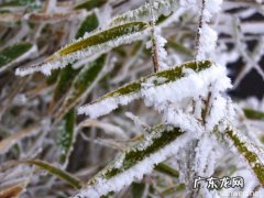 晒家乡风景唯美短句 【抖音文案】关于冬天风景的唯美短句