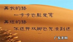 运动励志语录经典短句 【抖音文案】励志语录经典短句致自己