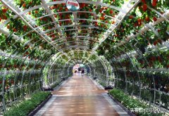 国家重点扶持的9个项目 政府扶持项目有哪些