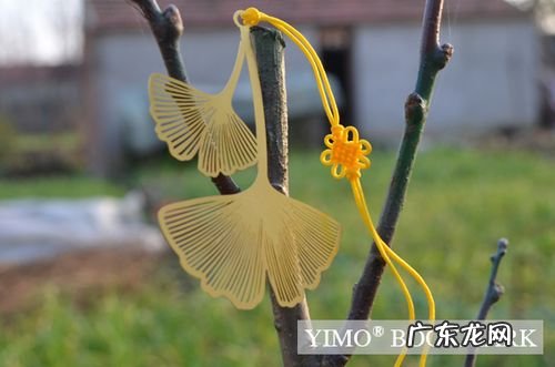 【抖音文案】关于银杏叶的古风句子