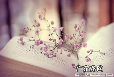 品味愉悦心情的唯美句子 【抖音文案】生活愉悦心情的唯美句子简短