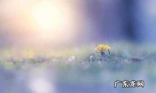 世界名著中的哲理金句 【抖音文案】哲理金句