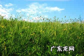 喜欢夏天的句子唯美 【抖音文案】喜欢夏天的句子
