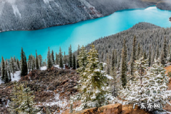 淘宝助理与千牛的区别是什么？哪个好？