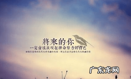 感悟工作励志句子努力 【抖音文案】个人感悟励志句子