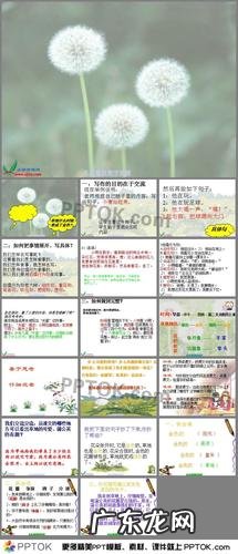 描写蒲公英吹散的句段 【抖音文案】关于描写蒲公英的好句