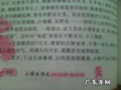 春夏秋冬各写一个句子四年级 【抖音文案】春夏秋冬各写一个句子