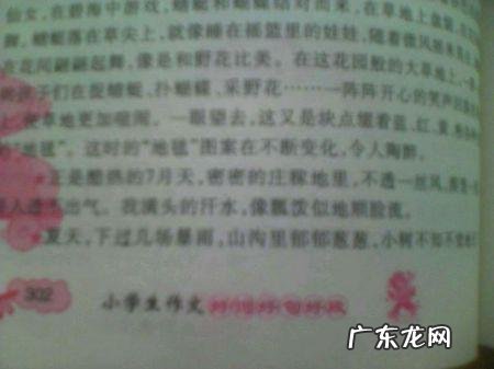 春夏秋冬各写一个句子四年级 【抖音文案】春夏秋冬各写一个句子