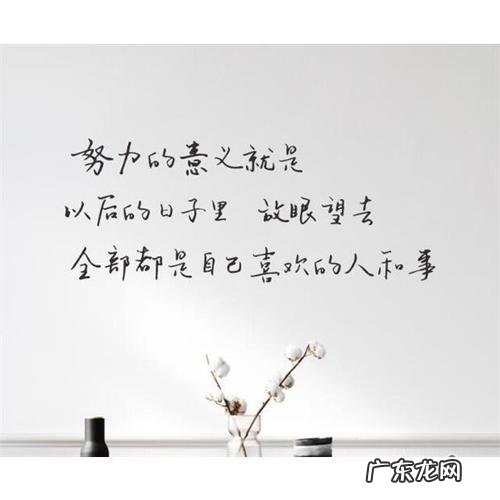 冷淡风的句子简短 【抖音文案】关于风的句子简短