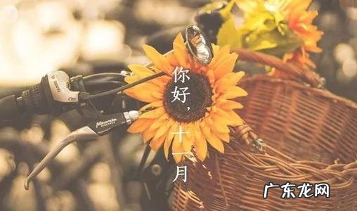 描写十一月份天气的句子 【抖音文案】描写十一月份的优美句子