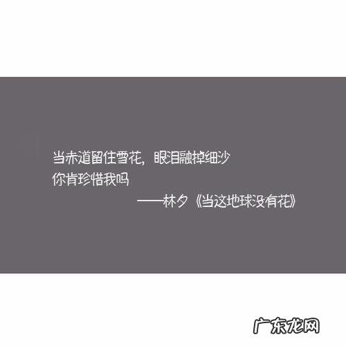 形容友谊的句子朋友圈 【抖音文案】适合友谊的句子朋友圈