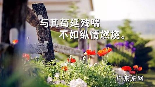 表达夏天美好的句子 【抖音文案】表达对夏天的喜爱的句子