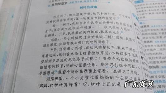 描写菜园的优美句子和段落 【抖音文案】描写风的句子优美段落