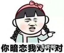 开心搞笑的说说 唯美句子 【抖音文案】表示开心的搞笑句子