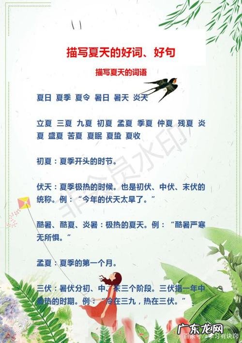 形容夏天的好词好句好段有哪些 【抖音文案】形容夏天的好词好句好段