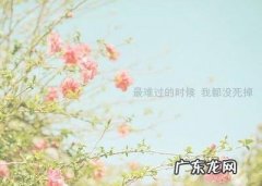 鼓励自己的句子简短霸气 【抖音文案】鼓励自己的句子简短
