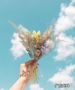 形容眼睛暗淡无光的句子文艺 【抖音文案】关于眼睛的文艺句子