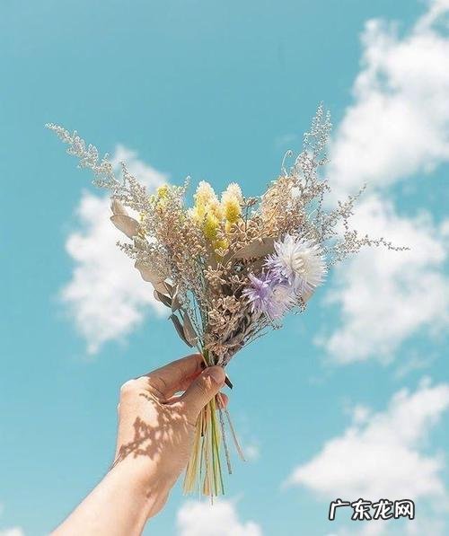 形容眼睛暗淡无光的句子文艺 【抖音文案】关于眼睛的文艺句子