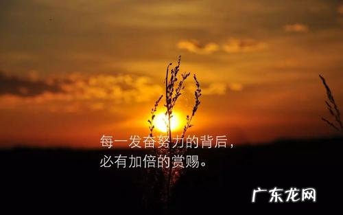 努力的句子经典语句早上好 【抖音文案】努力的句子经典语句
