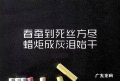 越努力越幸运的句子发朋友圈 【抖音文案】在朋友圈发努力的句子