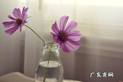 越努力越幸运的句子发朋友圈 【抖音文案】在朋友圈发努力的句子