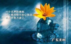 生活伤感的句子带人生感悟 【抖音文案】人生感悟伤感的句子