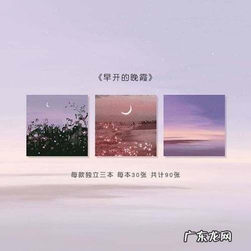 自由的唯美句子简短 【抖音文案】风与自由的唯美句子