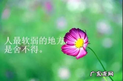 人生最希望的美好感悟句子 【抖音文案】关于人生美好的感悟的句子