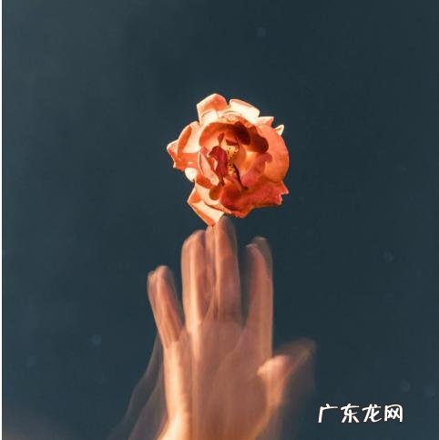 触动人心的经典句子 【抖音文案】触动人心的唯美句子