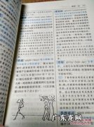 新词语新用法十例 新词语