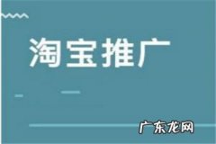 淘宝极速推广和直通车哪个好？附二者区别