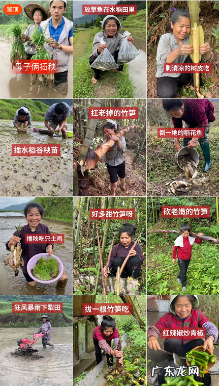 快手容易上热门8大领域 最容易涨粉的短视频