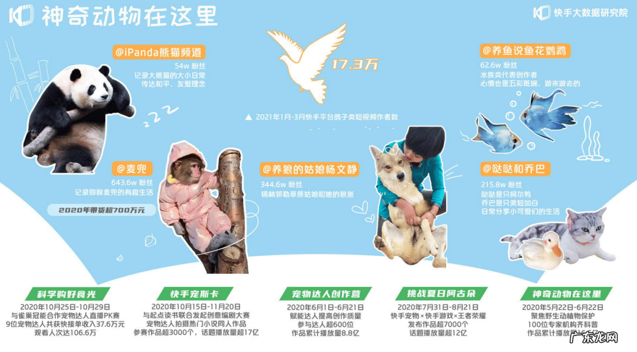 快手容易上热门8大领域 最容易涨粉的短视频