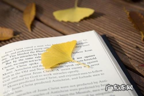 描写银杏树的句子和段落 【抖音文案】描写银杏树的优美段落句子