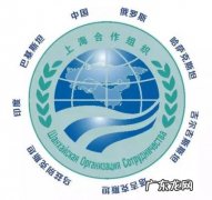 2020上海合作组织峰会 上海合作组织峰会