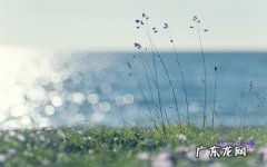 描写夏天的句子短句 【抖音文案】夏天的句子短句10字