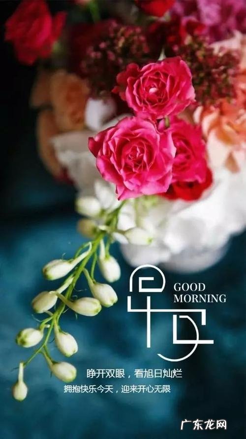 正能量的句子 励志 人生感悟 【抖音文案】正能量的句子