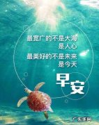正能量的句子 励志 人生感悟 【抖音文案】正能量的句子