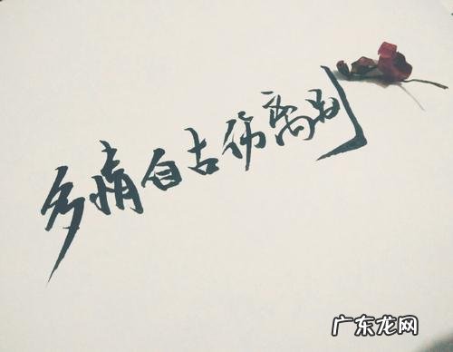 八个字的励志句子古风 【抖音文案】关于女生古风励志句子